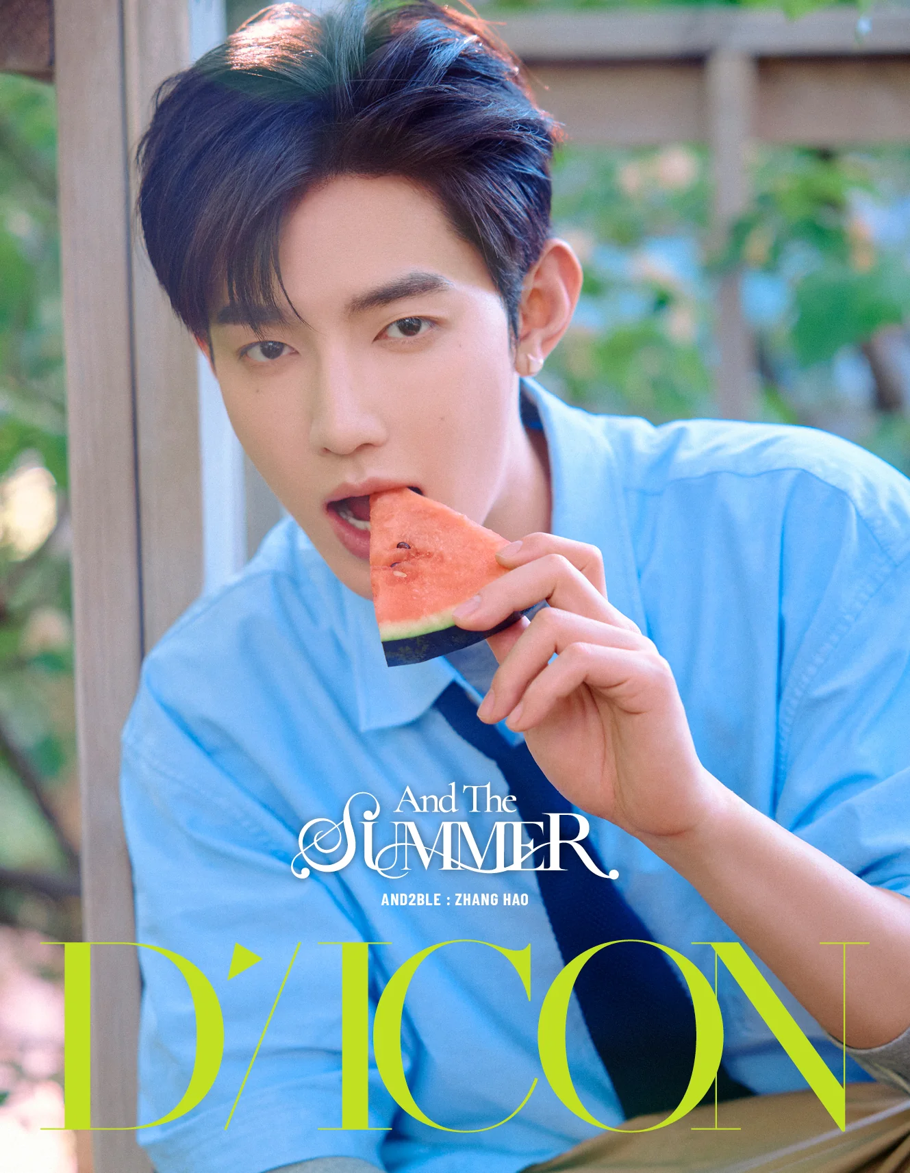 DICON Volume N°35 AND2BLE And The Summer A-Type - Image 2