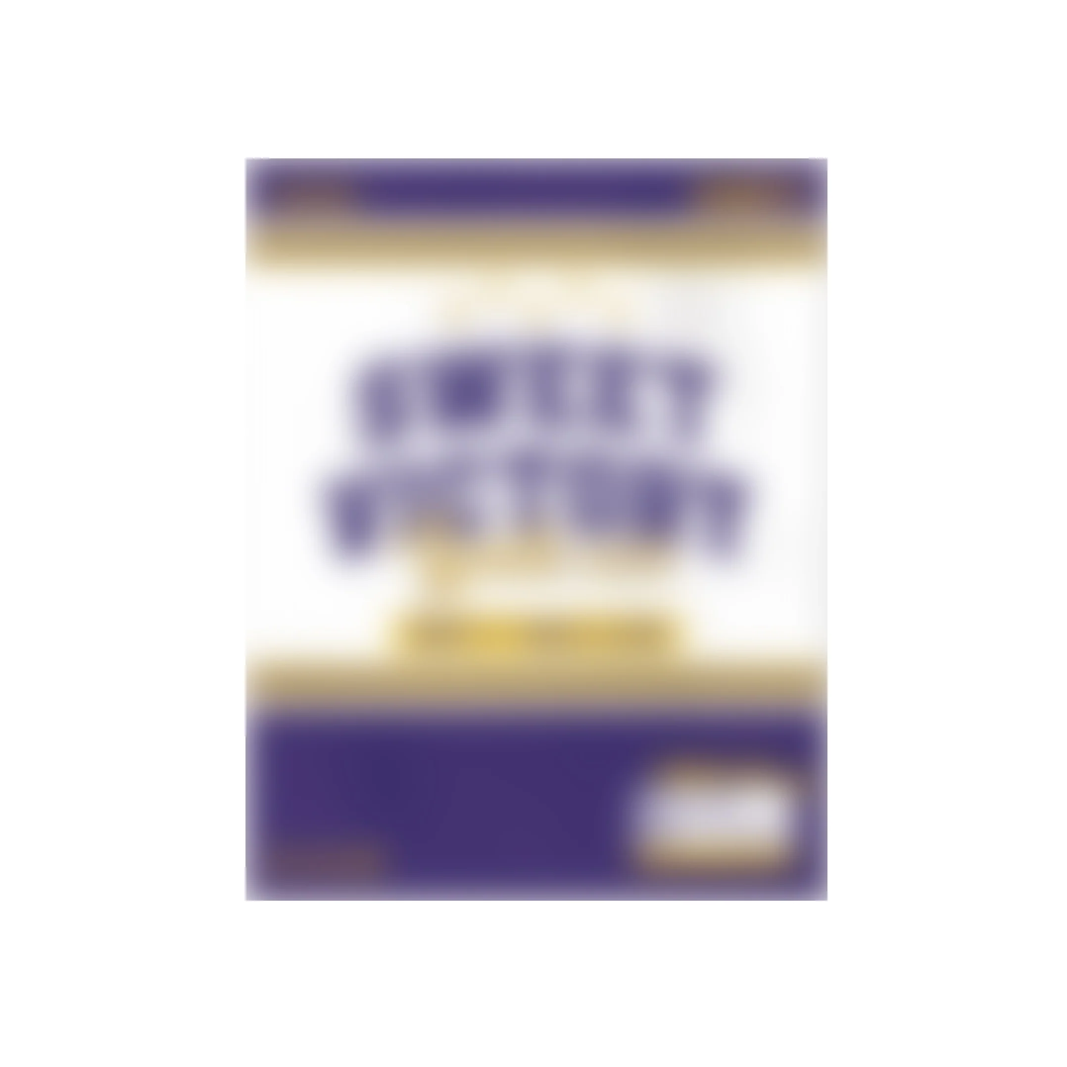 Dignity - 1st Single Album Sweet Victory CD - Image 7