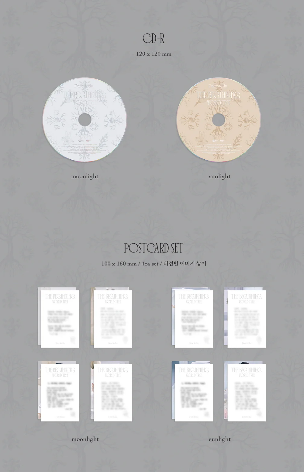 Forestella - The Beginning : World Tree Album (sunlight ver.) - Image 3