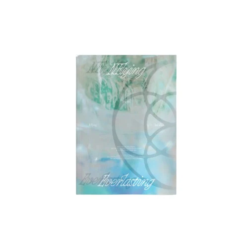 N.Flying Nflying - Vol.2 Everlasting CD - Image 4