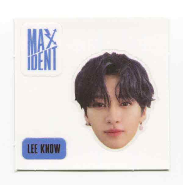 STRAY KIDS - MAXIDENT Album OFFICIAL Face Sticker, 4-Cut Photo - Image 8