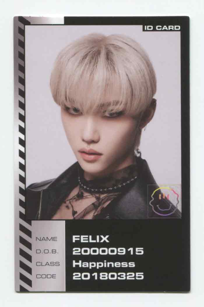STRAY KIDS - ODDINARY Album ID CARD OFFICIAL PHOTOCARD