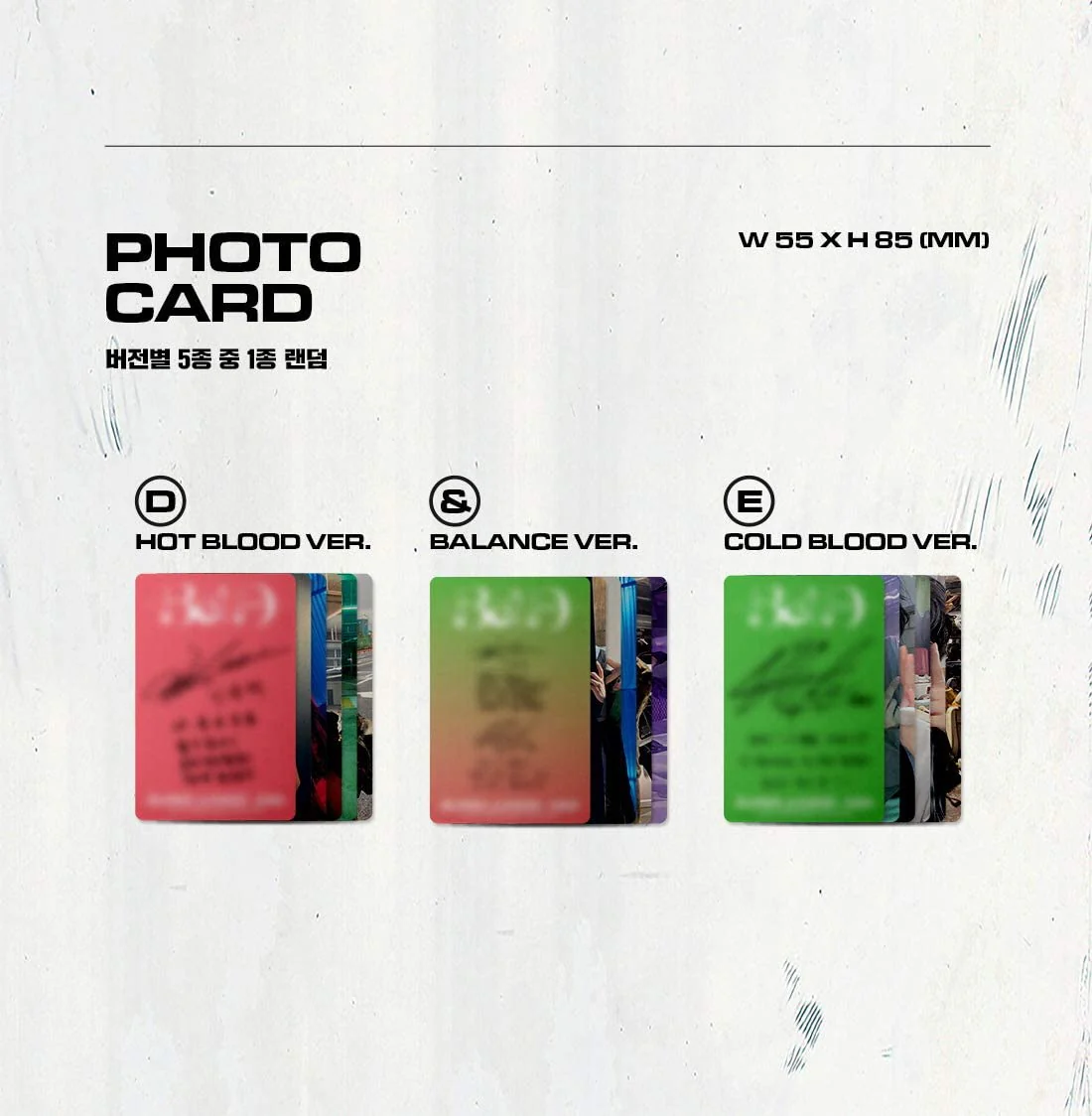 Super Junior D&E - Bad Blood (4th Mini Album) Album+Extra Photocards Set - Image 8