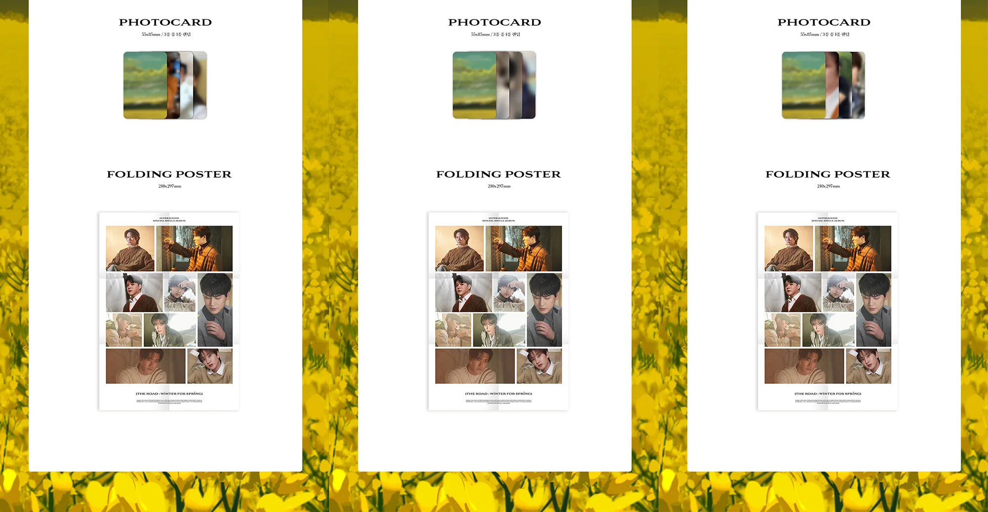SUPER JUNIOR - The Road : Winter for Spring (Special Single) Album+On Pack Folding Poster+Extra Photocards Set - Image 5