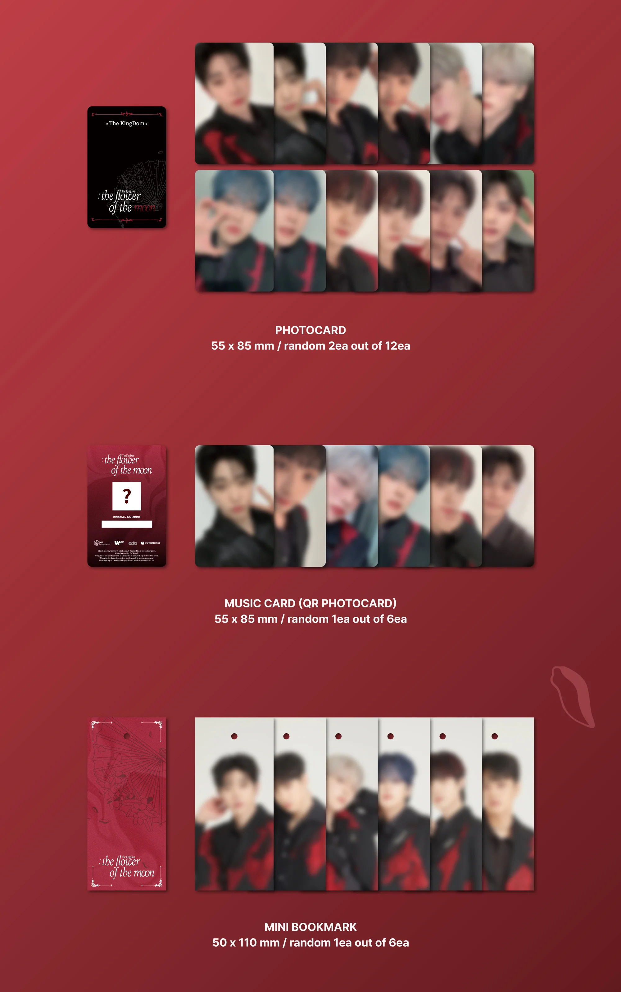 The KingDom - 1st Special Album The KingDom : the flower of the moon Ever version Platform Album - Image 7